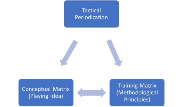 2 matriks periodisasi taktis: matriks konseptual dan pelatihan